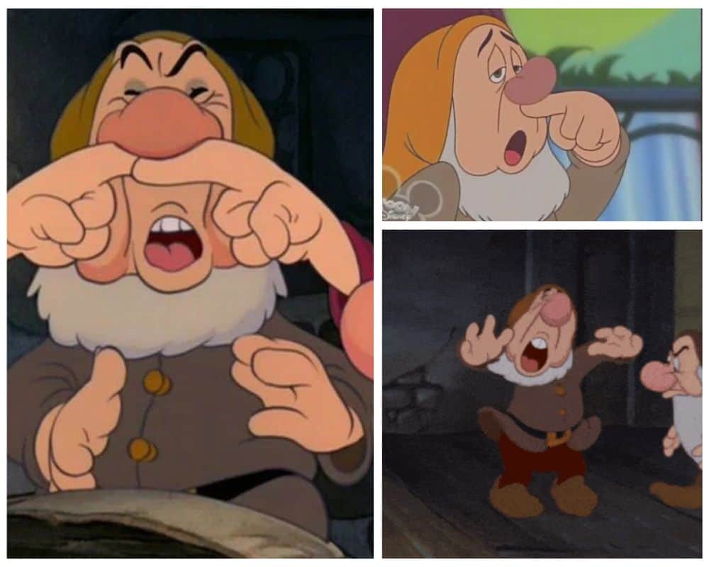 Sneezy From Snow White