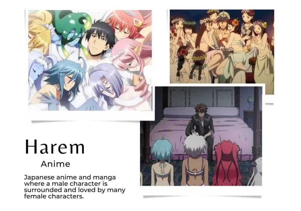 Harem anime genre