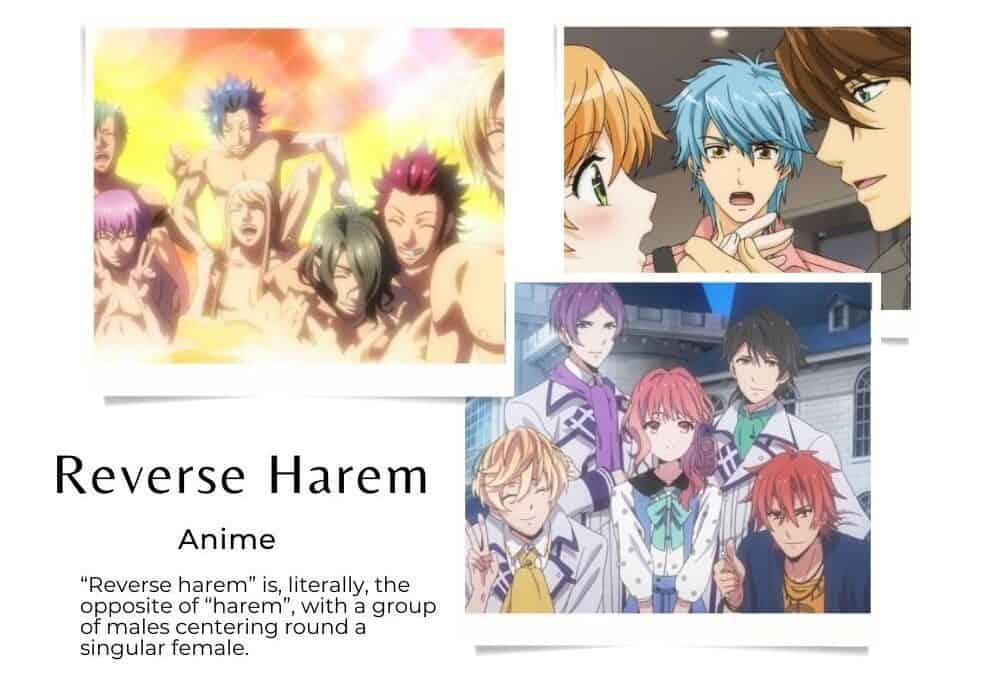 Reverse Harem Anime genre
