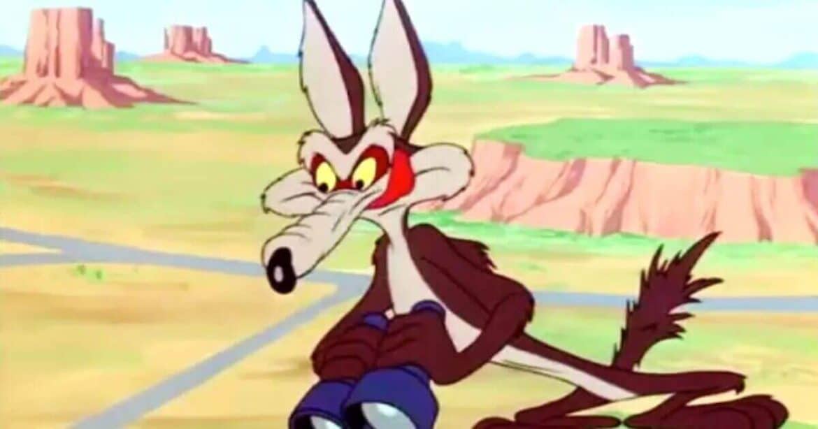 Wile E. Coyote - Looney Tunes
