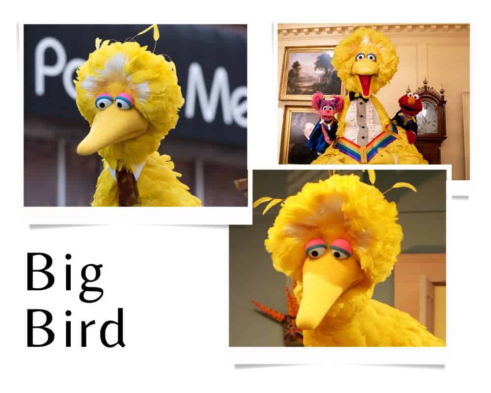 Big Bird - all yellow cartoon characters