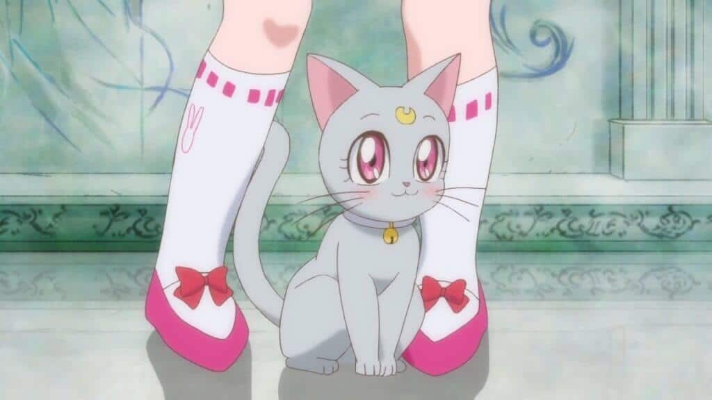 Diana - Sailor Moon - grey cat cartoon characters