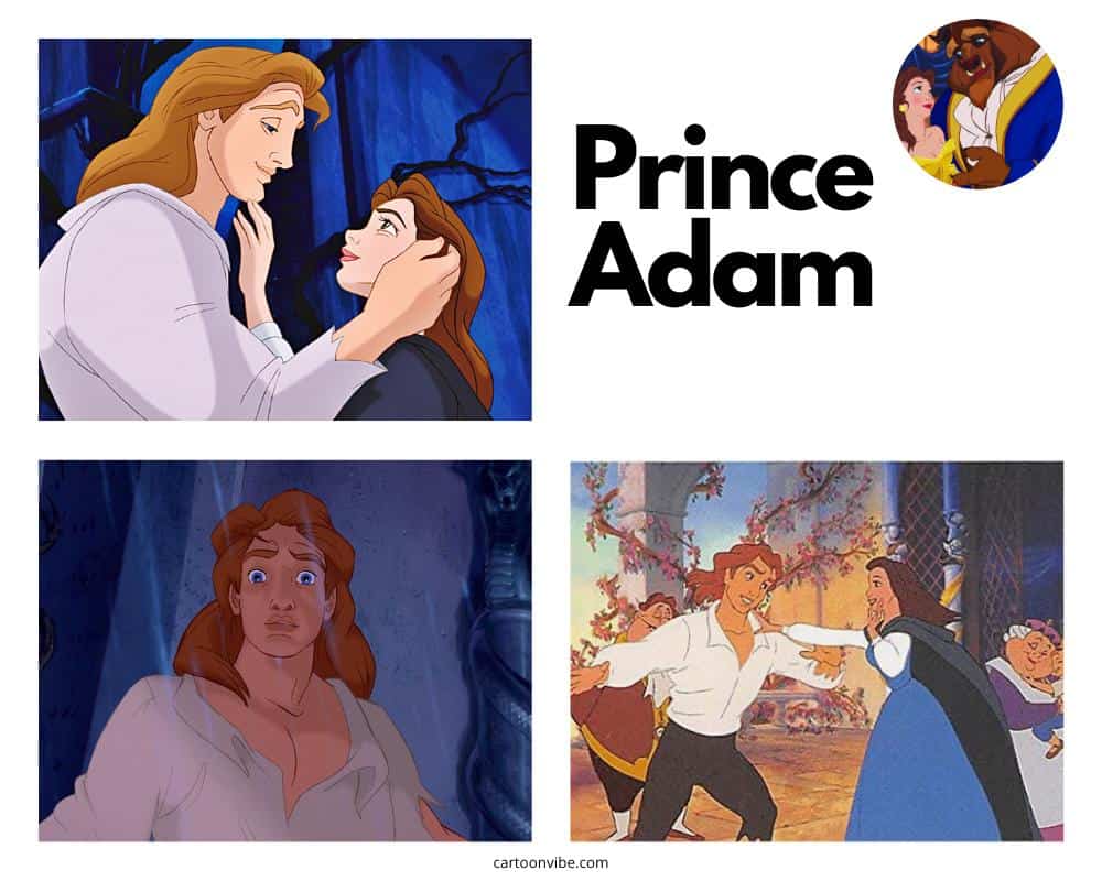 Prince Adam - The Beast (Beauty and the Beast)