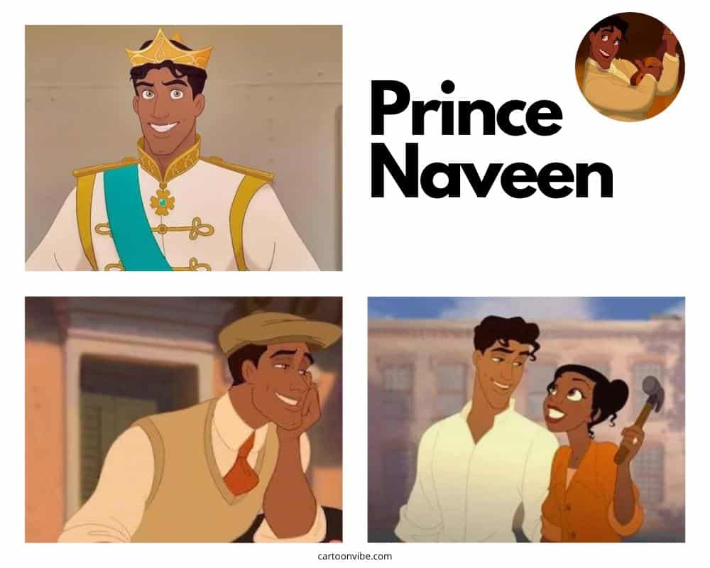 Prince Naveen - The Princess and the Frog
