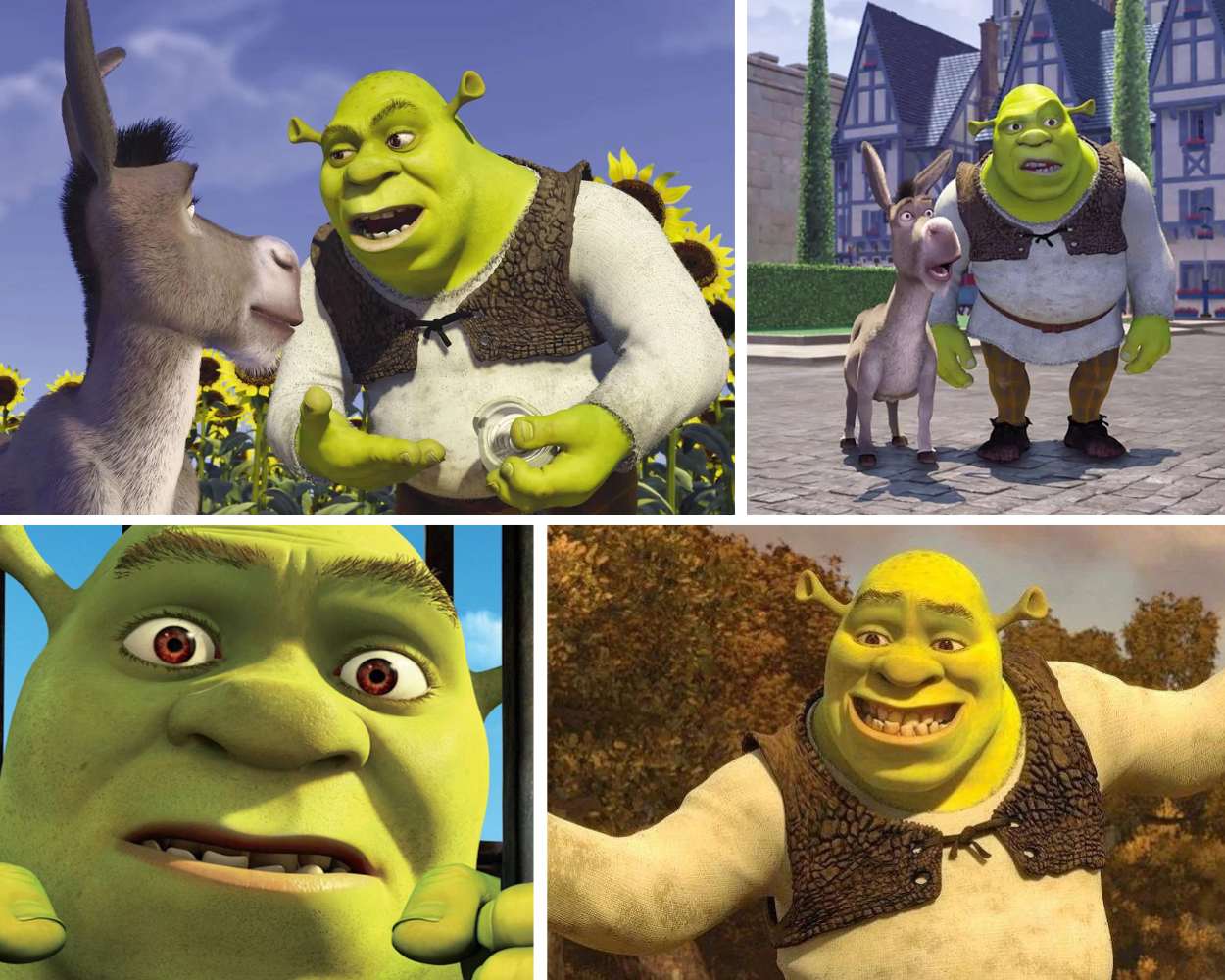 Shrek - Giant Green Cartoon Character
