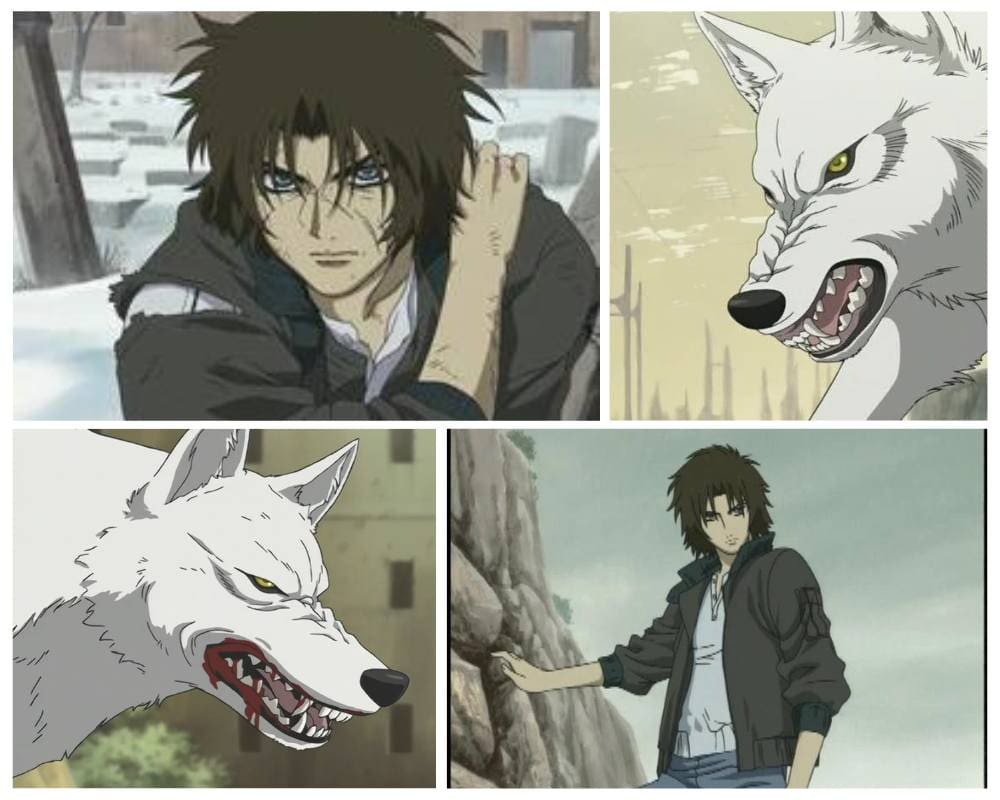 Wolves Characters  AnimePlanet