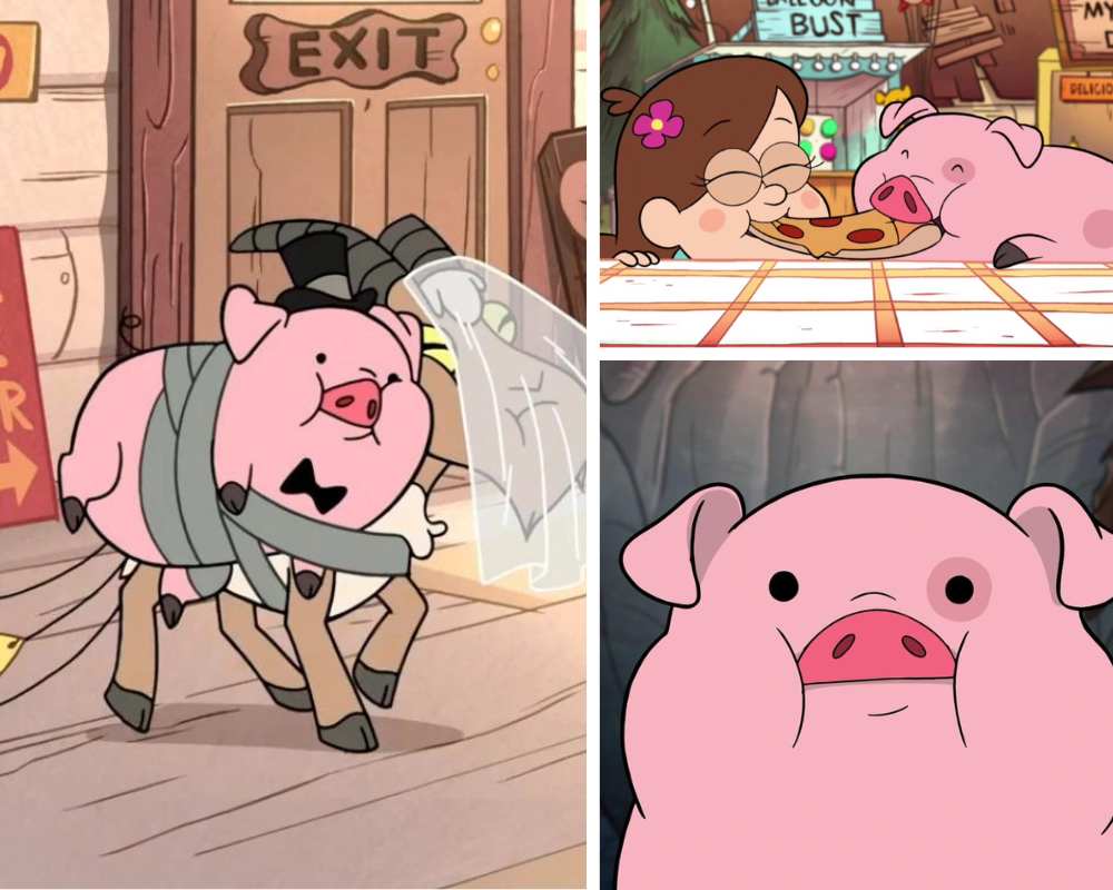 Waddles - Gravity Falls - Cartoon Pig Characters