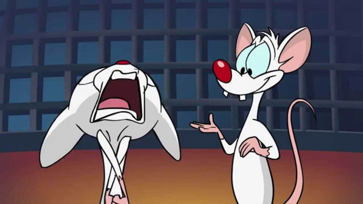 pinky and the brain - dumb animated characters