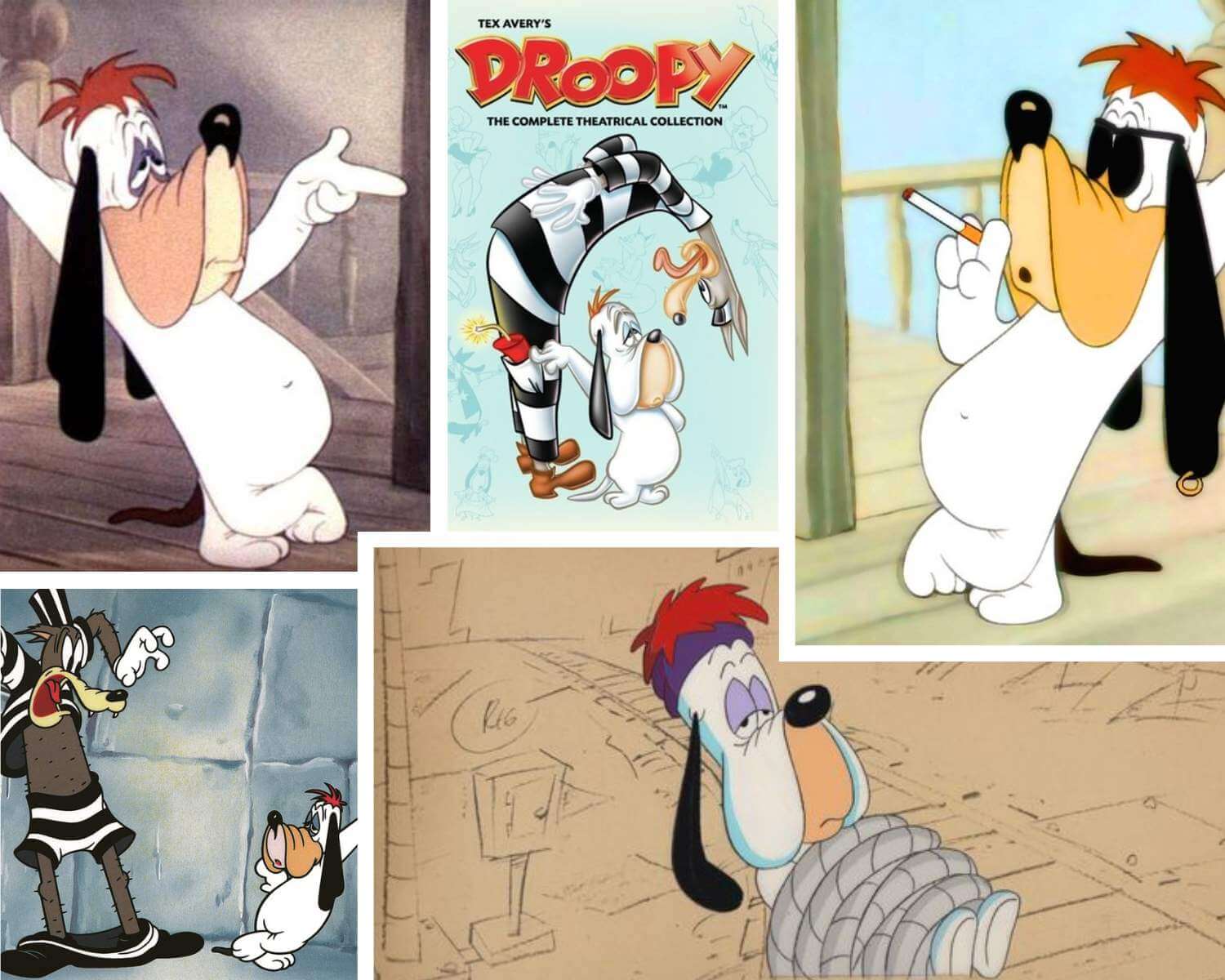 A Tribute to Droopy Dog