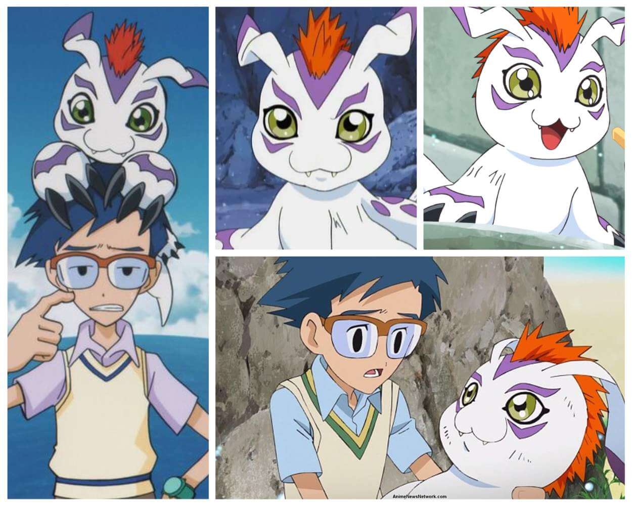 Loyalty and Support - digimon gomamon