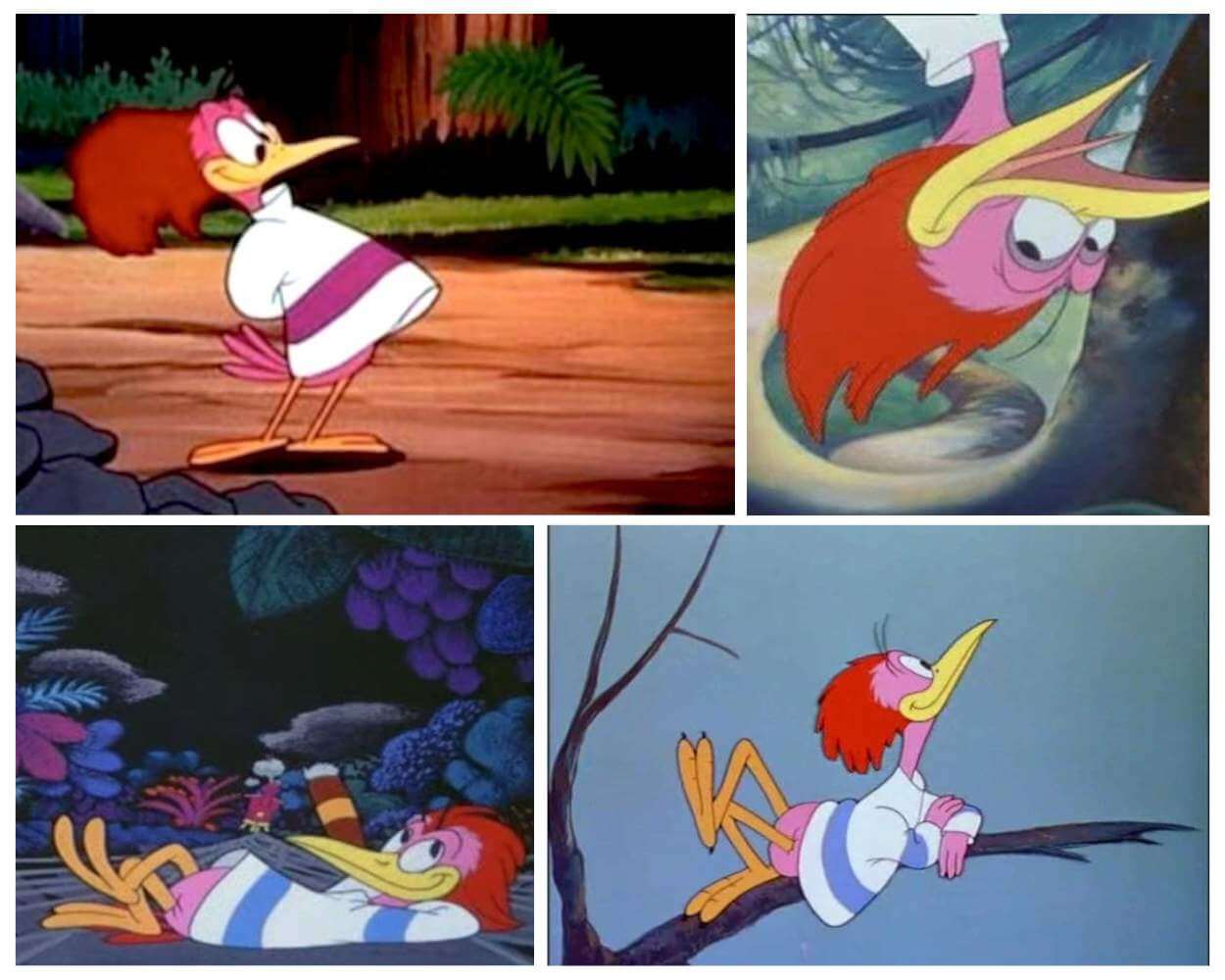 The Aracuan Bird from Disney - Everything You wanted To Know