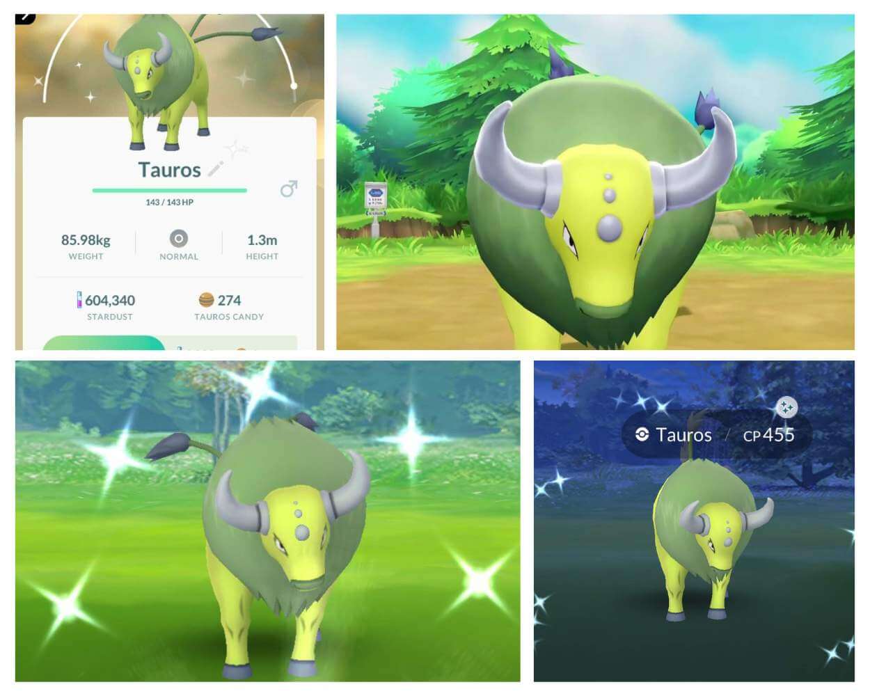 The Shiny Tauros as a Collector's Dream