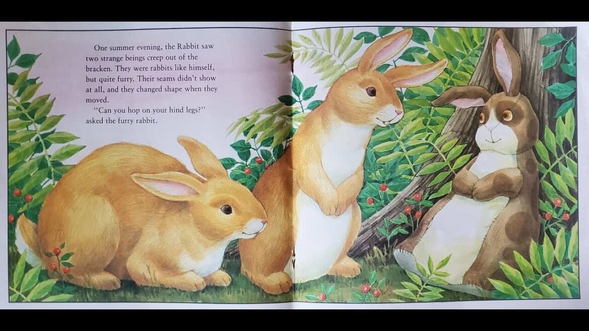 Velveteen Rabbit - The Velveteen Rabbit