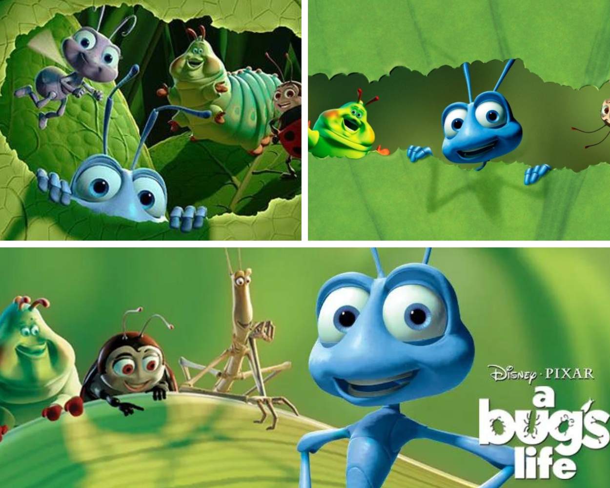 Francis's Pivotal Role in A Bug's Life