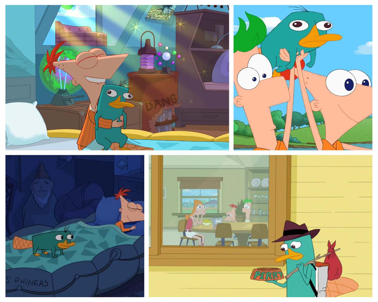 Phineas Flynn and Perry the Platypus