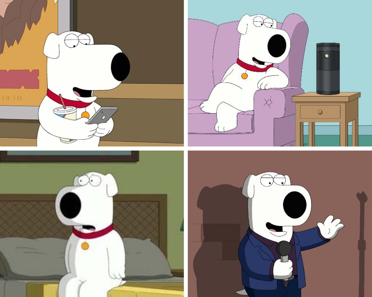 Brian Griffin has evolved