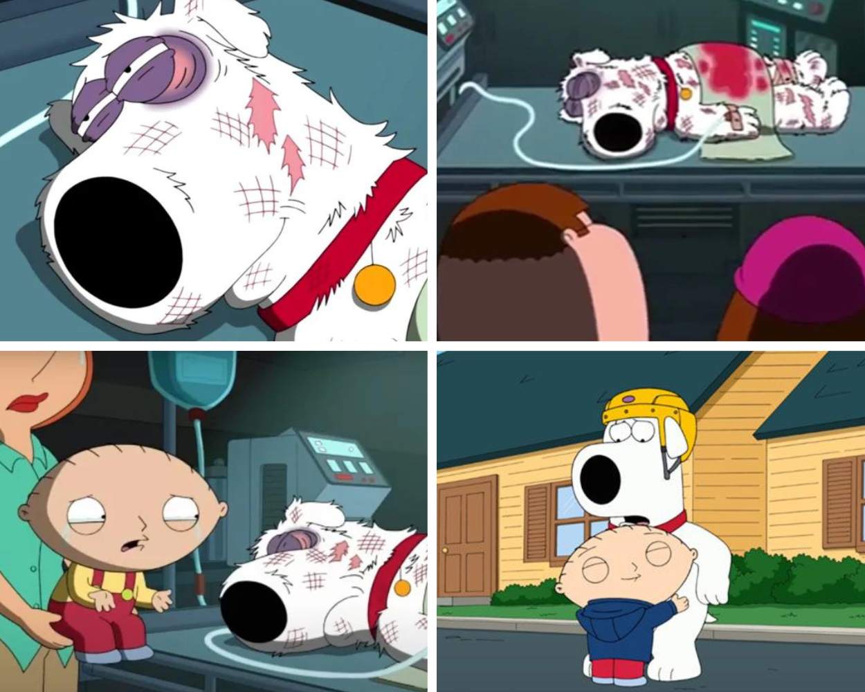 Brian Griffin's Death and Resurrection