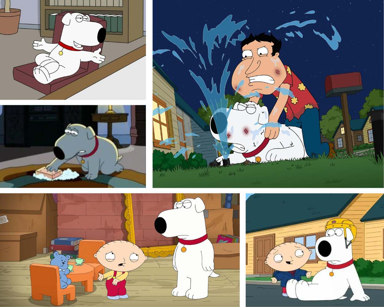 Family Guy, Brian Griffin