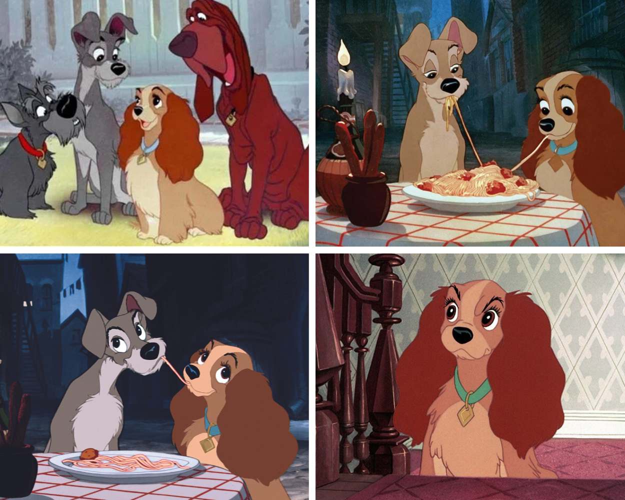 Lady and the Tramp (1955) - old dog cartoon movies