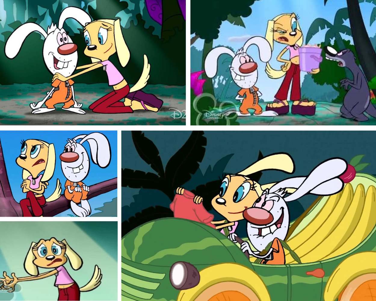 Brandy and Mr Whiskers Cartoon