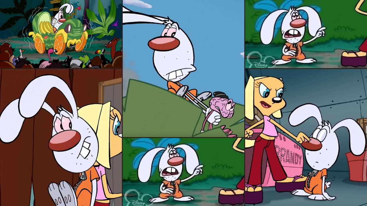 Mr. Whiskers from Brandy & Mr. Whiskers