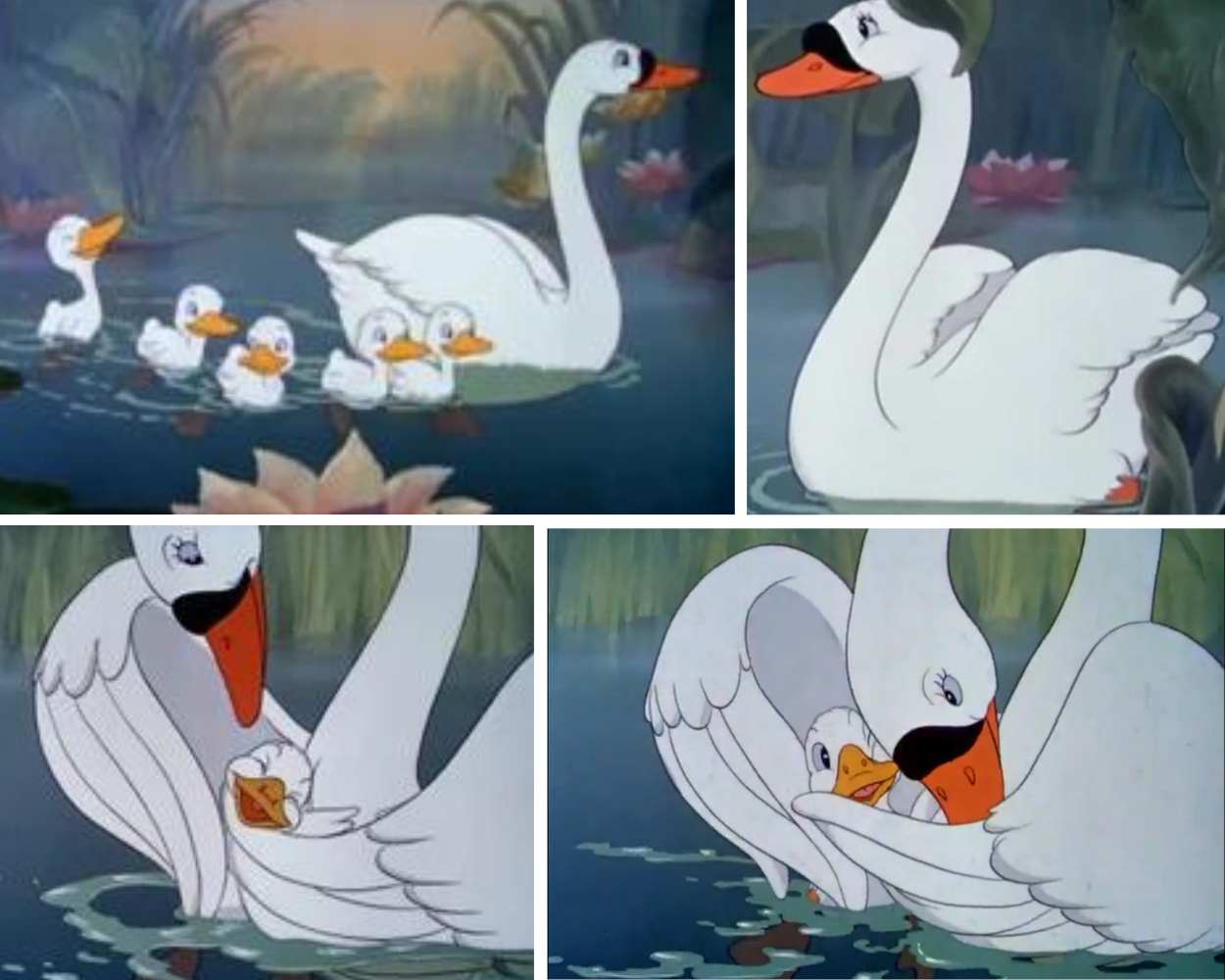 The Mother Swan - The Ugly Duckling