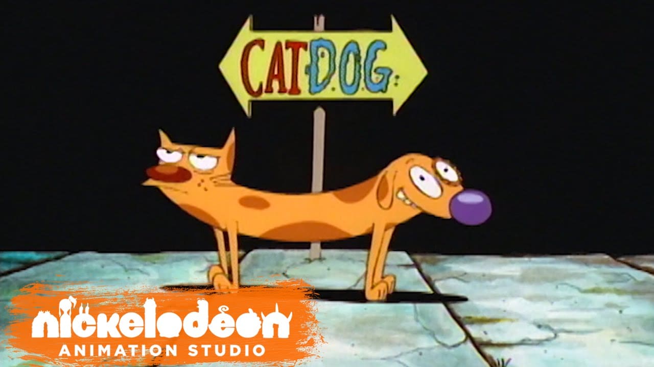 The Production Of catDog
