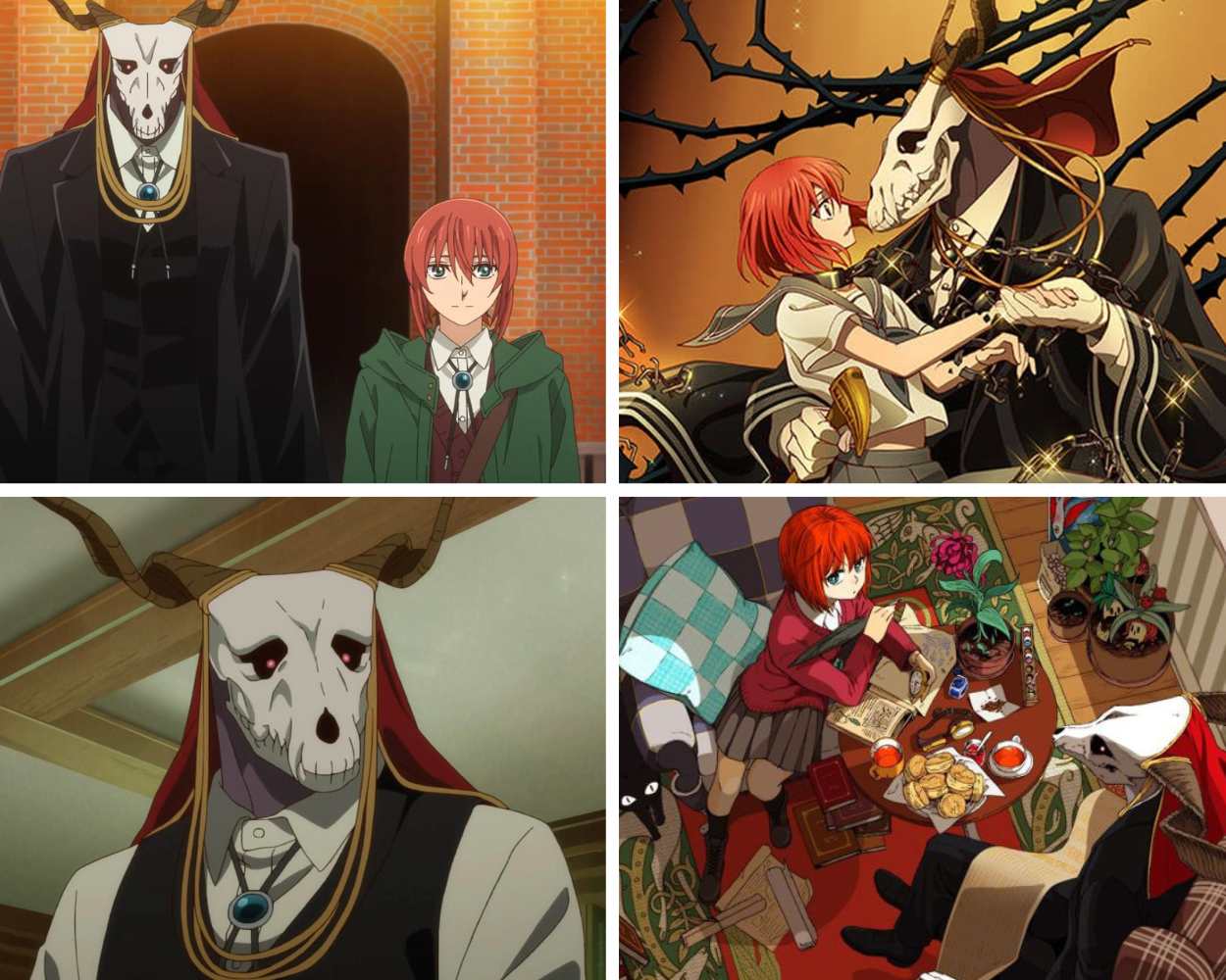 The Ancient Magus Bride 